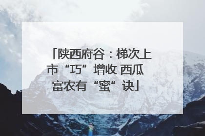 陕西府谷：梯次上市“巧”增收 西瓜富农有“蜜”诀