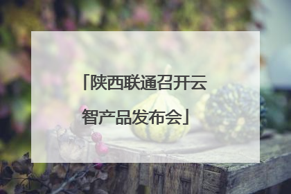 陕西联通召开云智产品发布会
