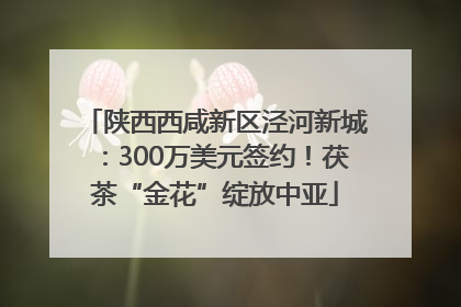 陕西西咸新区泾河新城：300万美元签约！茯茶“金花”绽放中亚