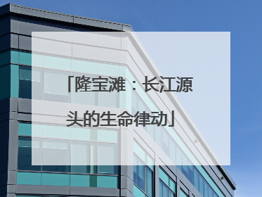 隆宝滩：长江源头的生命律动