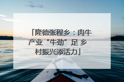 隆德张程乡：肉牛产业“牛劲”足 乡村振兴添活力