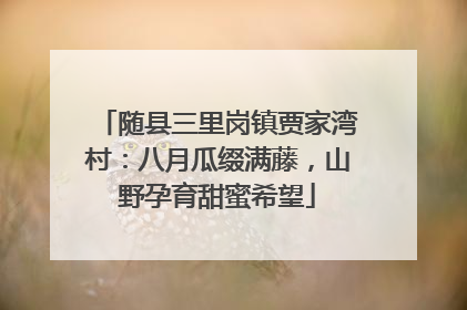 随县三里岗镇贾家湾村：八月瓜缀满藤，山野孕育甜蜜希望