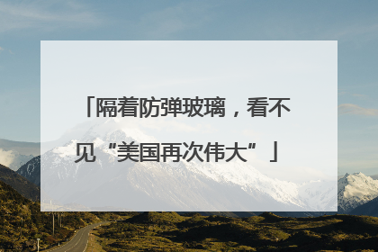 隔着防弹玻璃，看不见“美国再次伟大”