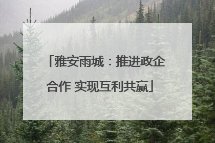 雅安雨城：推进政企合作 实现互利共赢