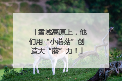雪域高原上，他们用“小蘑菇”创造大“蘑”力！