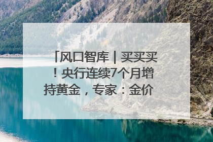风口智库｜买买买！央行连续7个月增持黄金，专家：金价或仍易涨难跌