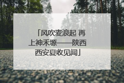 风吹麦浪起 再上神禾塬——陕西西安夏收见闻
