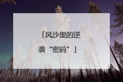 风沙里的逆袭“密码”