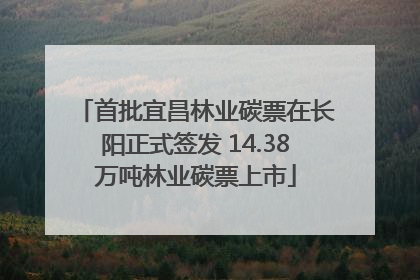 首批宜昌林业碳票在长阳正式签发 14.38万吨林业碳票上市