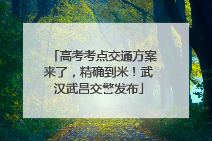 高考考点交通方案来了，精确到米！武汉武昌交警发布