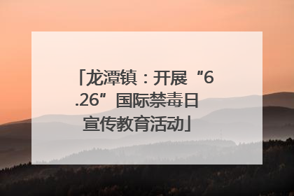 龙潭镇：开展“6.26”国际禁毒日宣传教育活动