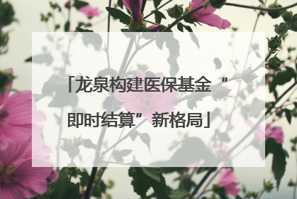 龙泉构建医保基金“即时结算”新格局