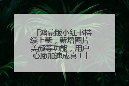 鸿蒙版小红书持续上新，新增图片美颜等功能，用户心愿加速成真！