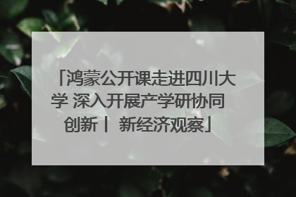 鸿蒙公开课走进四川大学 深入开展产学研协同创新丨 新经济观察