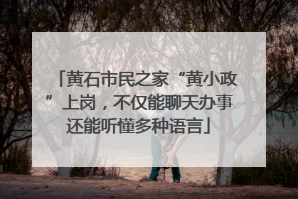 黄石市民之家“黄小政”上岗，不仅能聊天办事还能听懂多种语言