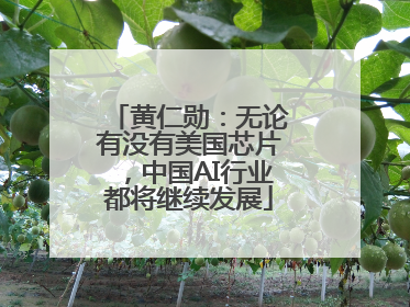 黄仁勋：无论有没有美国芯片，中国AI行业都将继续发展
