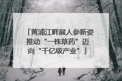 黄浦江畔展人参新姿 推动“一株草药”迈向“千亿级产业”