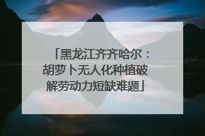 黑龙江齐齐哈尔：胡萝卜无人化种植破解劳动力短缺难题