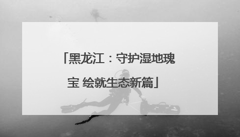 黑龙江：守护湿地瑰宝 绘就生态新篇