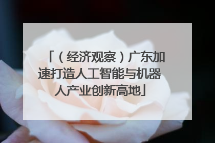 （经济观察）广东加速打造人工智能与机器人产业创新高地