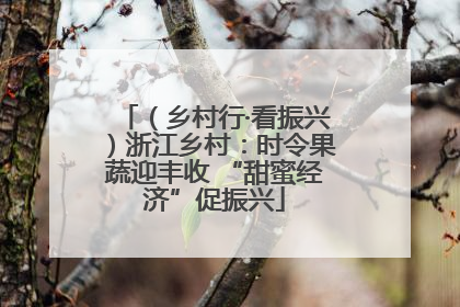 （乡村行·看振兴）浙江乡村：时令果蔬迎丰收 “甜蜜经济”促振兴