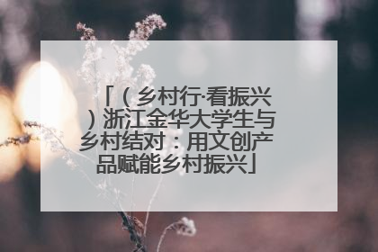 （乡村行·看振兴）浙江金华大学生与乡村结对：用文创产品赋能乡村振兴
