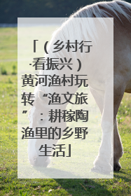 （乡村行·看振兴）黄河渔村玩转“渔文旅”：耕稼陶渔里的乡野生活