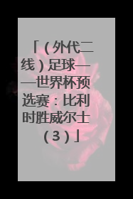 （外代二线）足球——世界杯预选赛：比利时胜威尔士（3）
