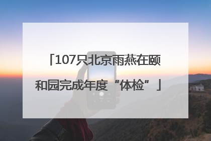 107只北京雨燕在颐和园完成年度“体检”