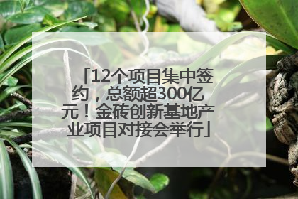 12个项目集中签约，总额超300亿元！金砖创新基地产业项目对接会举行