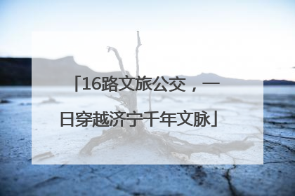 16路文旅公交，一日穿越济宁千年文脉