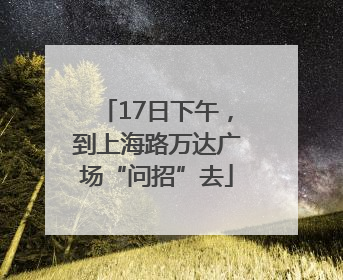 17日下午，到上海路万达广场“问招”去