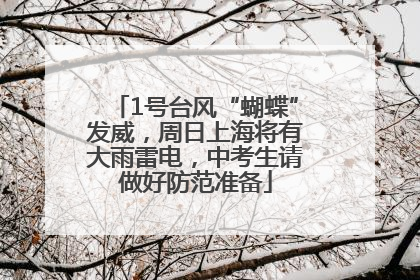 1号台风“蝴蝶”发威，周日上海将有大雨雷电，中考生请做好防范准备