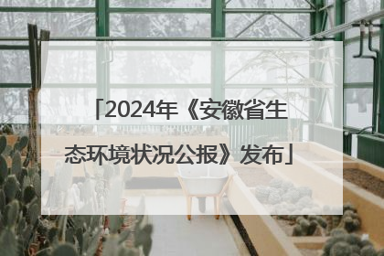 2024年《安徽省生态环境状况公报》发布