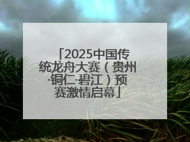 2025中国传统龙舟大赛（贵州·铜仁·碧江）预赛激情启幕