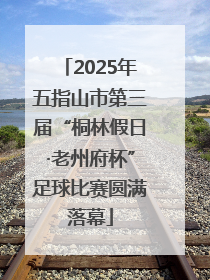 2025年五指山市第三届“桐林假日·老州府杯”足球比赛圆满落幕