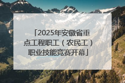 2025年安徽省重点工程职工（农民工）职业技能竞赛开幕