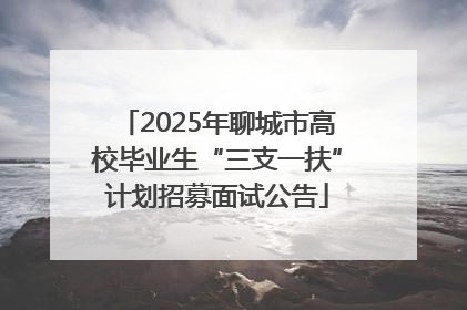 2025年聊城市高校毕业生“三支一扶”计划招募面试公告