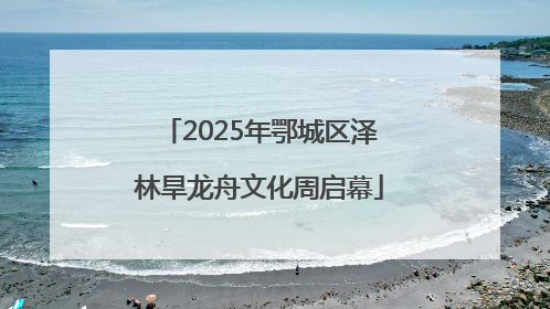 2025年鄂城区泽林旱龙舟文化周启幕