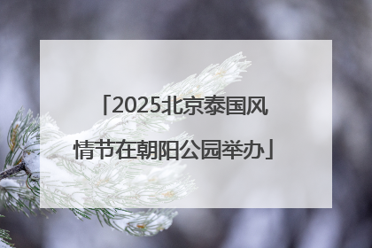 2025北京泰国风情节在朝阳公园举办