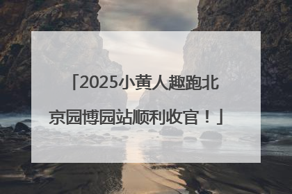 2025小黄人趣跑北京园博园站顺利收官！