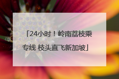 24小时！岭南荔枝乘专线 枝头直飞新加坡