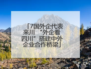 7国外企代表来川 “外企看四川”搭建中外企业合作桥梁