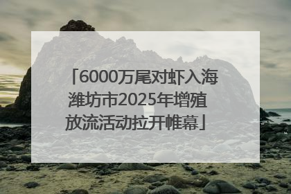 6000万尾对虾入海 潍坊市2025年增殖放流活动拉开帷幕