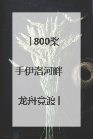 800桨手伊洛河畔龙舟竞渡