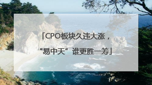 CPO板块久违大涨，“易中天”谁更胜一筹