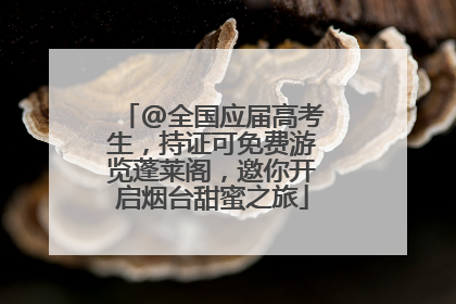 @全国应届高考生，持证可免费游览蓬莱阁，邀你开启烟台甜蜜之旅