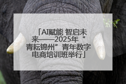 AI赋能 智启未来——2025年“青耘锦州”青年数字电商培训班举行