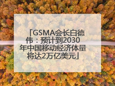 GSMA会长白德伟：预计到2030年中国移动经济体量将达2万亿美元