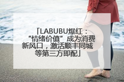 LABUBU爆红：“情绪价值”成为消费新风口，激活顺丰同城等第三方即配